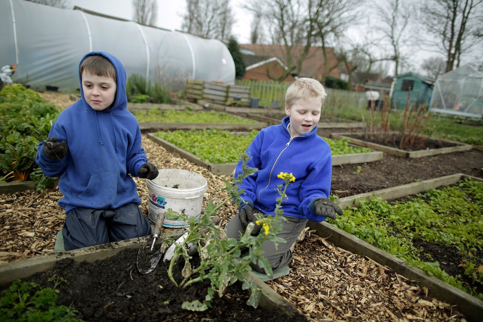 Grassmoor Primary School editorial documentary photography for The Sunday Times by Doug Marke — image 3 of 10