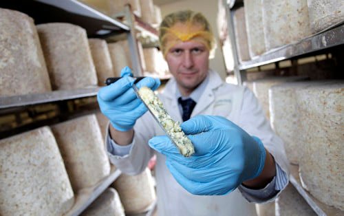 Stilton cheese editorial photography doesn't come any riper! — Doug Marke insights