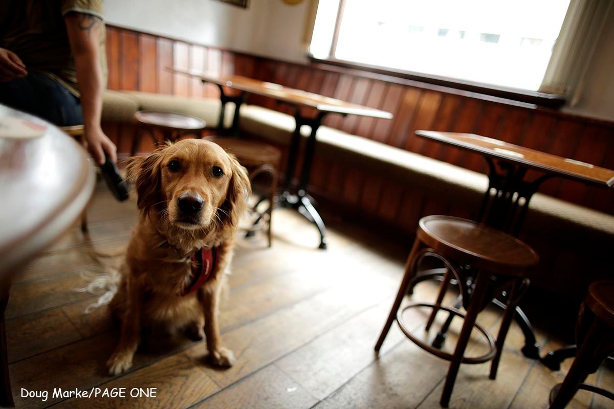 The Newshouse pub architecture photography in Nottingham by Doug Marke — image 7 of 7.